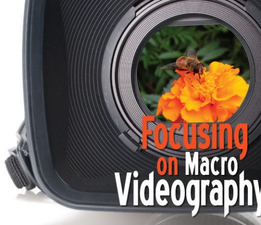 Zoom In On Macro Videography