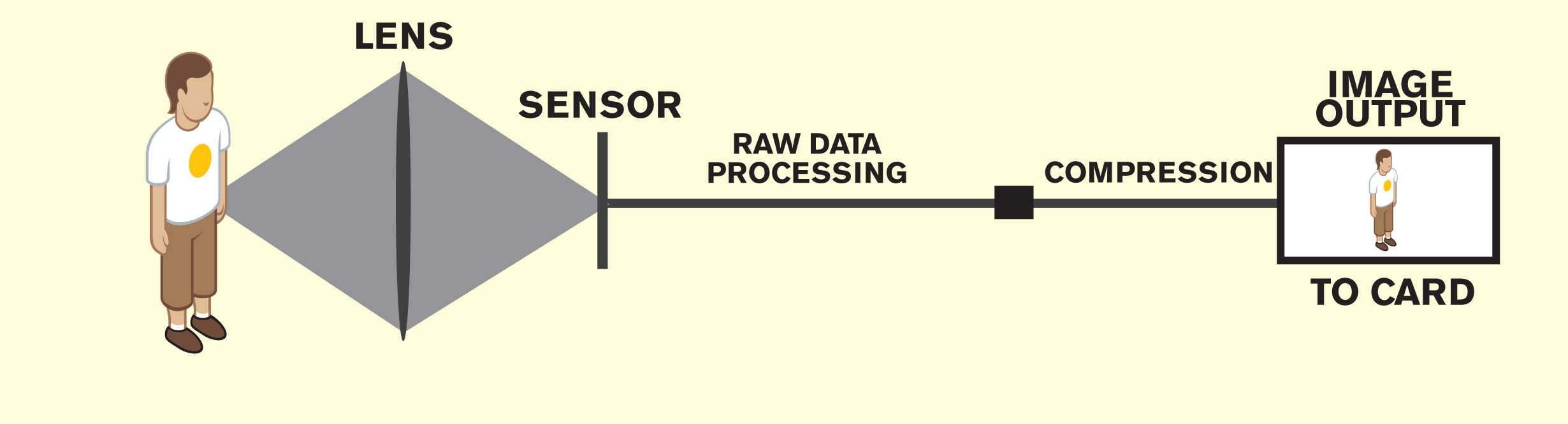 Infographic diagram of a lens' sensor in relation to the raw data and image output.