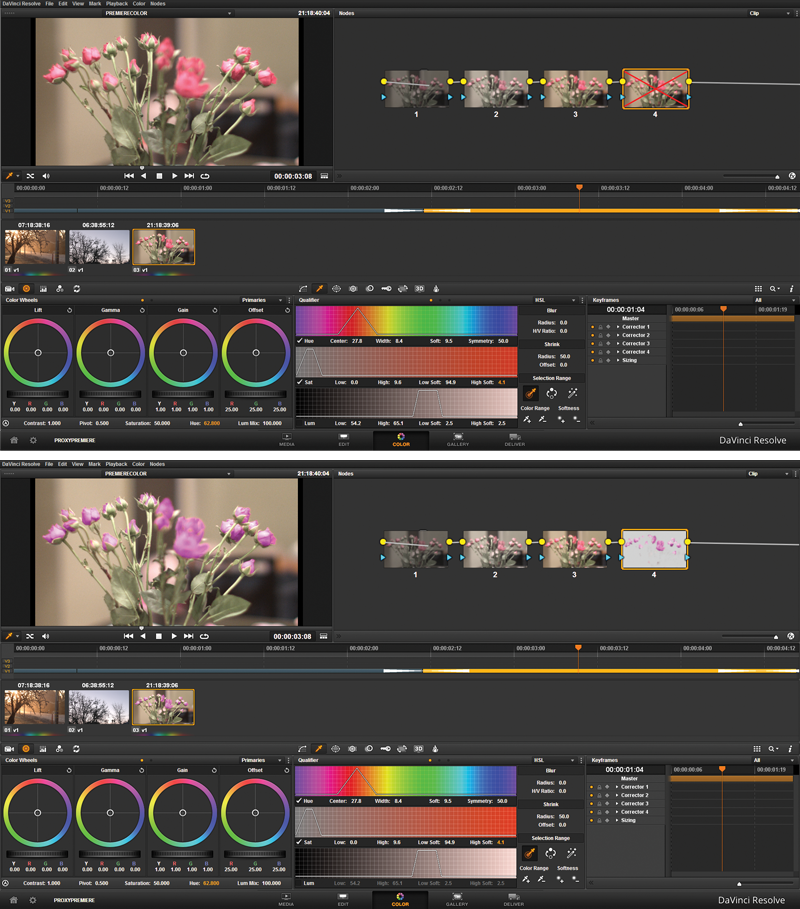 An image of roses is compared within a color correction workspace to demonstrate selective color replacement techniques.