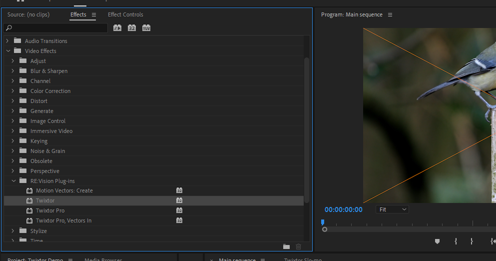 Step 5: Apply Twixtor to your footage