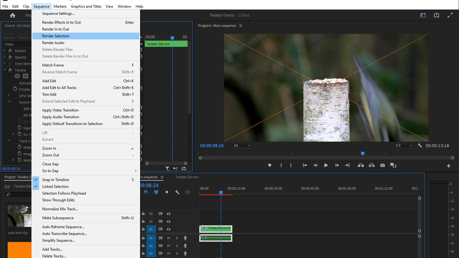 Step 8: Render your slow-motion clip.